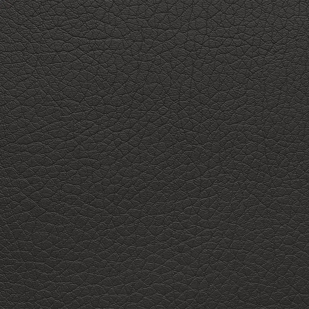 01_Trelew-7006-Schwarz-Lederoptik-Mikrofaser.webp