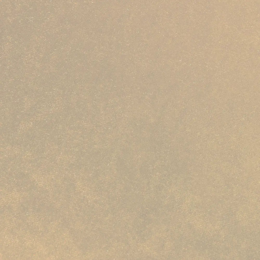 03_Melissa-9308-Beige-Velours.webp