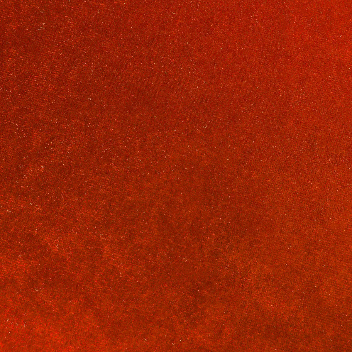 velour.webp